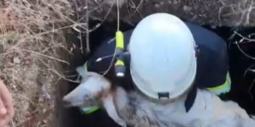 Babaeski’de kuyuya düşen kuzu kurtarıldı