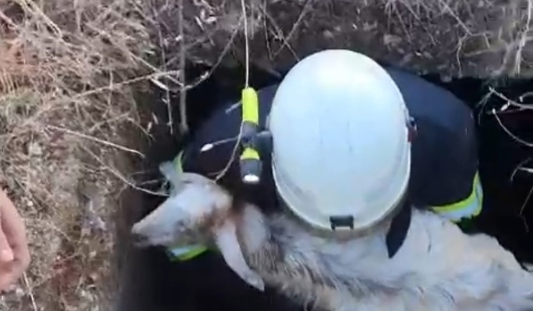 Babaeski’de kuyuya düşen kuzu kurtarıldı