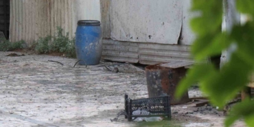 Bahçesinde kedi büyüklüğünde farelerin cirit attığı tesis, yaydığı kokuyla mahalleliyi bezdirdi
