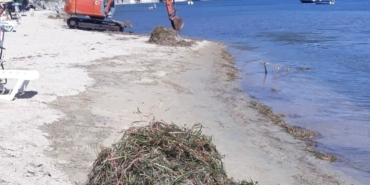 Balıkesir Valiliği deniz çayırlarının sökülmesi olayı ile ilgili soruşturma başlattı