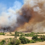 Balıkesir’de arazide çıkan yangın ormana sıçradı