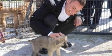 Balıkesir’de can dostlar emin ellerde