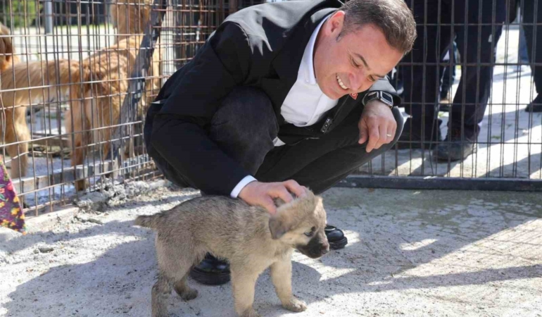 Balıkesir’de can dostlar emin ellerde