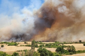Balıkesir’de çıkan yangınla ilgili 3 gözaltı