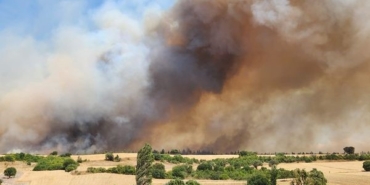 Balıkesir’de çıkan yangınla ilgili 3 gözaltı