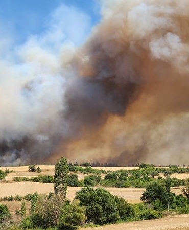 Balıkesir’de çıkan yangınla ilgili 3 gözaltı
