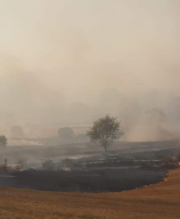 Balıkesir’de orman yangını: Havadan ve karadan müdahale sürüyor