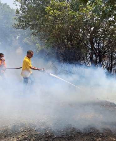 Balıkesir’de orman yangını