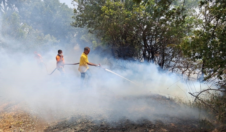 Balıkesir’de orman yangını