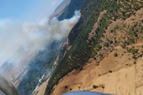Balıkesir’de orman yangını