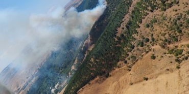 Balıkesir’de orman yangını