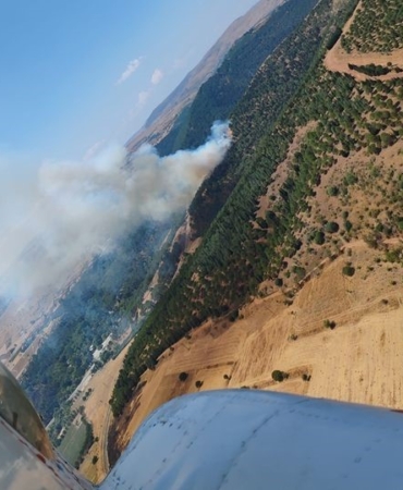Balıkesir’de orman yangını