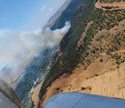 Balıkesir’de orman yangını
