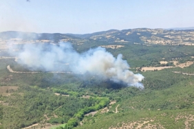 Balıkesir’de orman yangını