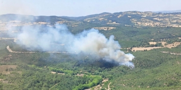 Balıkesir’de orman yangını