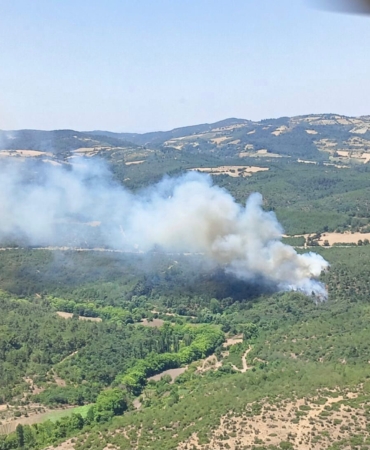 Balıkesir’de orman yangını