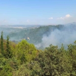 Balıkesir’deki orman yangınlarına müdahale sürüyor