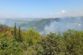 Balıkesir’deki orman yangınlarına müdahale sürüyor