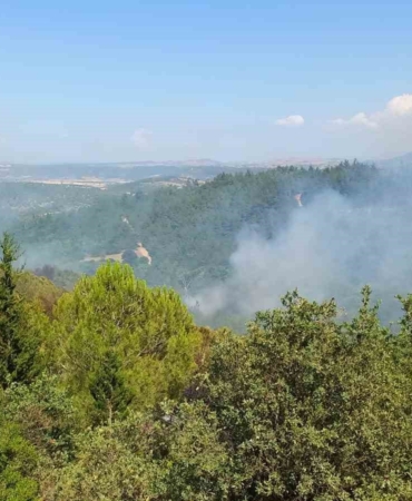 Balıkesir’deki orman yangınlarına müdahale sürüyor