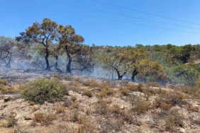 Balıkesir’in tatil beldesinde makilik alanda yangın çıktı