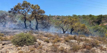 Balıkesir’in tatil beldesinde makilik alanda yangın çıktı