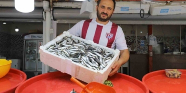 Bandırma’da sardalya bolluğu yaşanıyor