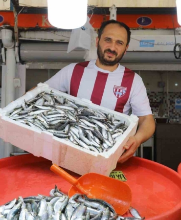 Bandırma’da sardalya bolluğu yaşanıyor