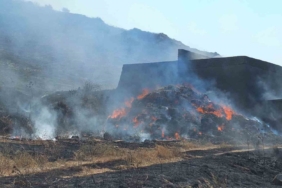 Bandırma’da yangın: Bin dönüm otluk alan yandı