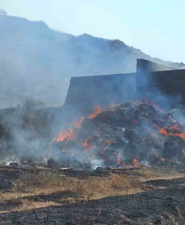 Bandırma’da yangın: Bin dönüm otluk alan yandı