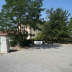 Başakşehir’de sokak hayvanlarına mama tartışmasında cinayet iddiası