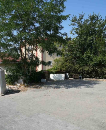 Başakşehir’de sokak hayvanlarına mama tartışmasında cinayet iddiası