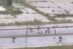 Başakşehir’de sokak köpekleri adama saldırdı