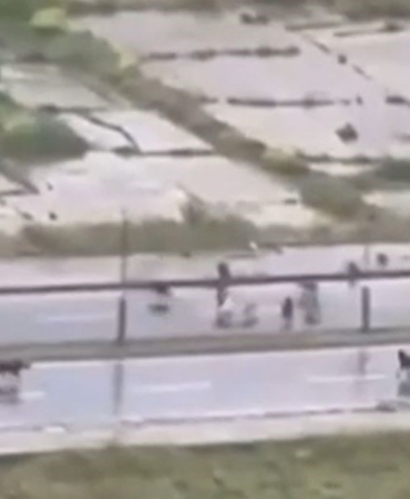 Başakşehir’de sokak köpekleri adama saldırdı