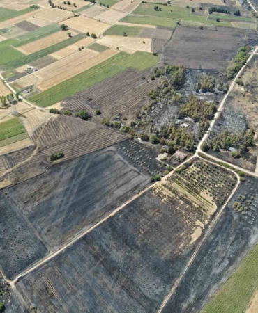 Başkan Bozbey’den ağaçlandırma çağrısı