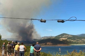 Bayramiç’te orman yangını