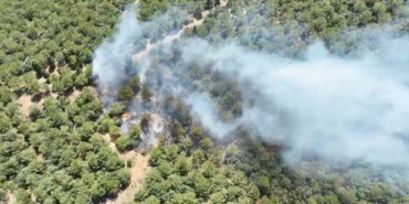 Bayramiç’te orman yangını