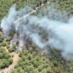 Bayramiç’teki orman yangını 24 saat sonra kontrol altına alındı