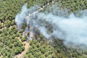 Bayramiç’teki orman yangını 24 saat sonra kontrol altına alındı