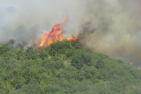 Bayramiç’teki orman yangını kısmen kontrol altına alındı