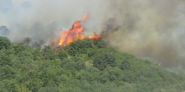 Bayramiç’teki orman yangını kısmen kontrol altına alındı