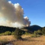 Bayramiç’teki orman yangını kontrol altına alındı, 420 futbol sahası büyüklüğünde alan küle döndü