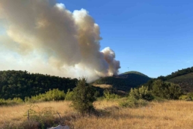 Bayramiç’teki orman yangını kontrol altına alındı, 420 futbol sahası büyüklüğünde alan küle döndü