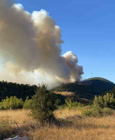 Bayramiç’teki orman yangını kontrol altına alındı, 420 futbol sahası büyüklüğünde alan küle döndü