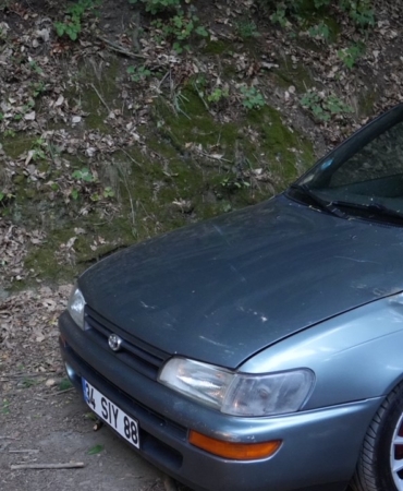 Belgrad Ormanı’nda ağaç araçların üzerine devrildi