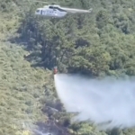 Beykoz’da çıkan orman yangını söndürüldü