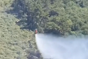 Beykoz’da çıkan orman yangını söndürüldü