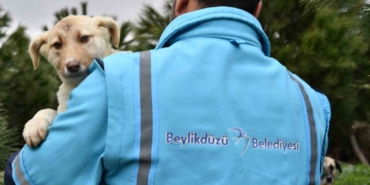 Beylikdüzü Belediye Başkanı Mehmet Murat Çalık Hayvanları Koruma Kanunu’yla ilgili açıklama yaptı