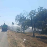 Beylikdüzü’nde otluk alandaki yangında mahsur kalan kaplumbağayı kurtarıp beslediler