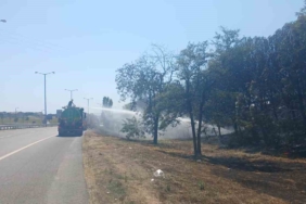 Beylikdüzü’nde otluk alandaki yangında mahsur kalan kaplumbağayı kurtarıp beslediler
