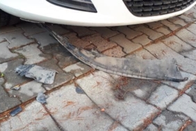 Beylikdüzü’nde sokak köpekleri park halindeki arabayı parçaladı